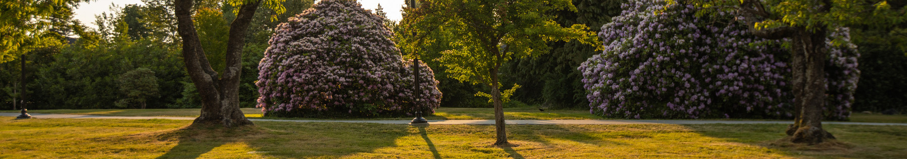 Grand Boulevard Park at dusk