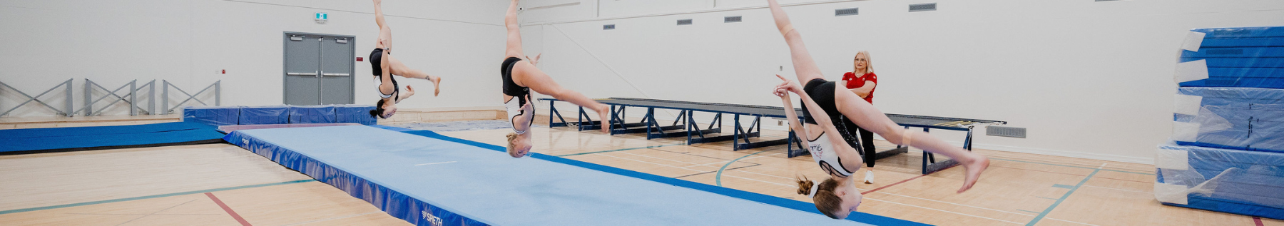 Flicka Gymnastics