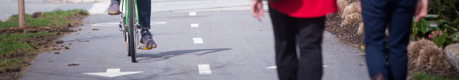 bike and pedestrians