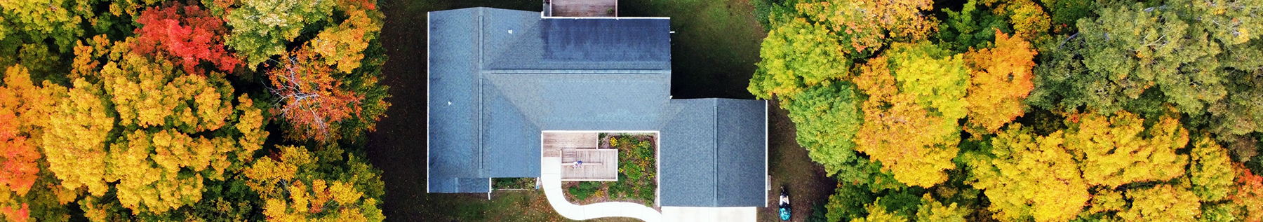 house in the middle of a forest