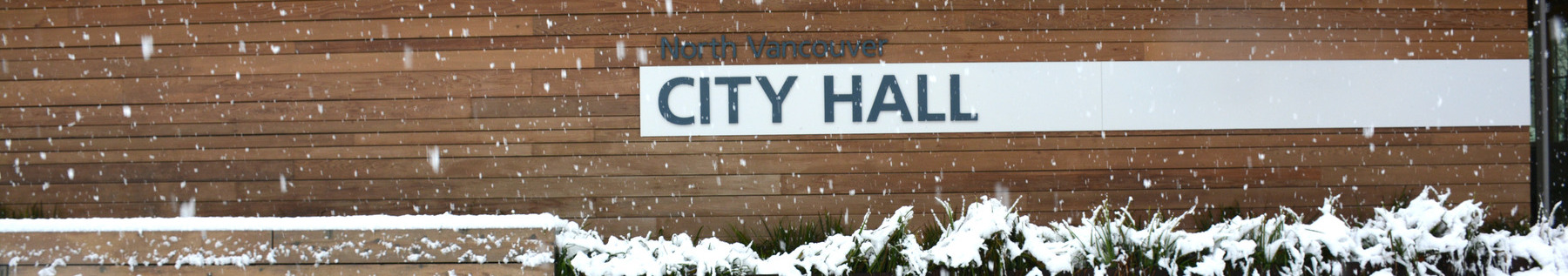 snow falling in Civic Plaza