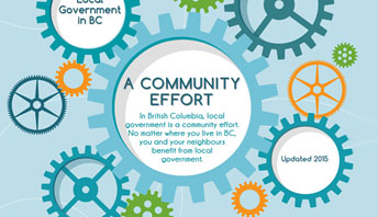 graphic - overview of local government process