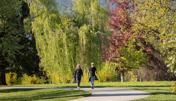walking people in City park