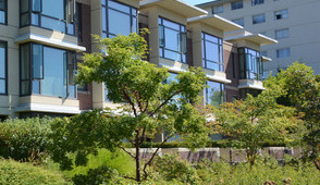 trees in front of a condo building