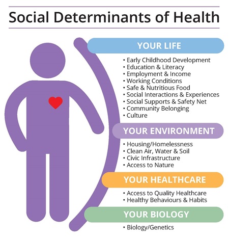 Social Determinants of Health. Your Life: Early Childhood Developments, Education and LIteracy, Employment and Income, Working Conditions, Safe and Nutritious Food, Social Interactions and Experiences, Social Supports and Safety Net, Community Belonging, Culture. Your Environment: Housing/Homelessness, Clean air, Water and Soil, Civic Infrastructure, Access to Nature. Your Healthcare: Access to Quality Healthcare, Healthy Behaviors and Habits. Your Biology: Biology/Genetics