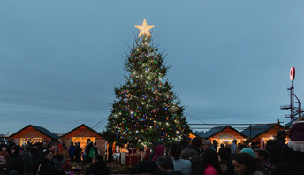 Holiday tree and huts