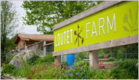market at Loutet Farm