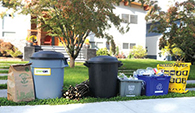 garbage & recycling lined up curbside