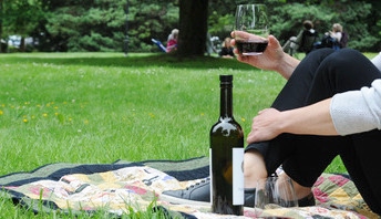 drinking alcohol in City park