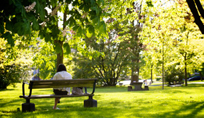 person seated on park bench