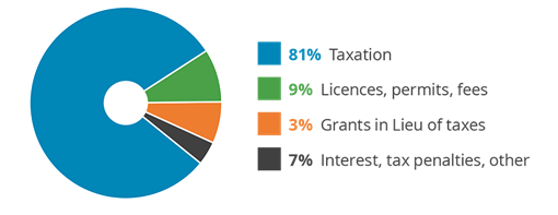 pie chart - where the City's money comes from
