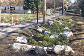 Green Necklace W21st Street | Mahon to Chesterfield