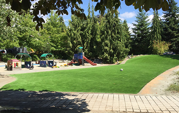 New turf at St Andrews Park