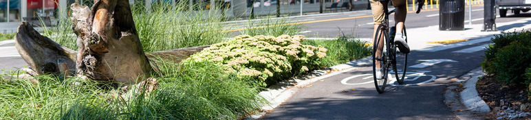 mobility lane