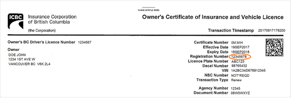 example of ICBC registration number