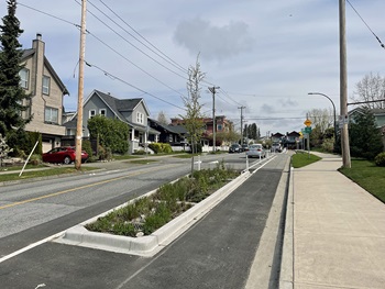 St Andrews Avenue with mobility lane