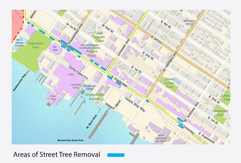 Esplanade Tree Removal