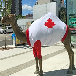 The Lady public art with Canada flag outfit