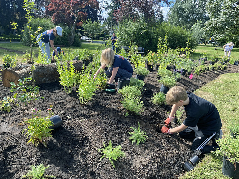 pollinator garden planting