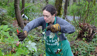 City Park Stewards