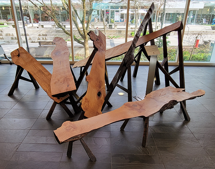 Fallen Tree - New Beginnings public art