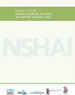 cover of NSHAI final report