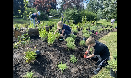 pollinator garden in Grand Boulevard