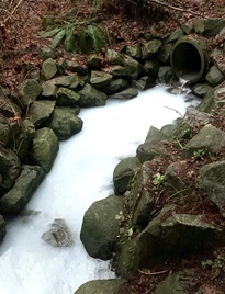 water coming out of storm drain