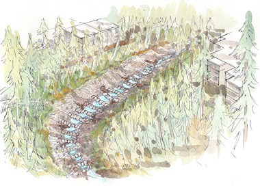 Thain Creek rendering