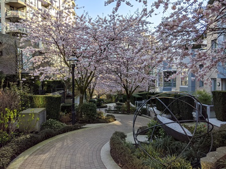 Jack Loucks Court pathway, A paved pathway winds through a sloped area between buildings lined with trees, bushes and a bench.