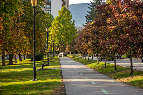 example of other zoning - Victoria Park