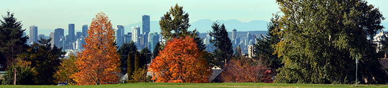 trees with backdrop of downtown