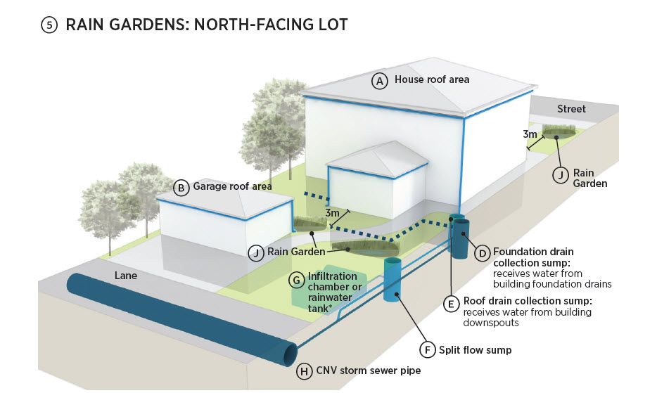 Rain Gardens