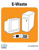 E-Waste Portrait